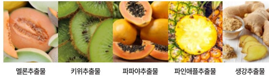 멜론추출물 · 키위추출물 · 파파야추출물 · 파인애플추출물 · 생강추출물.