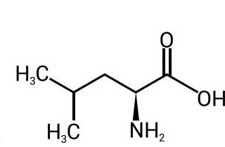 류신(Leucine)의 화학 구조식.